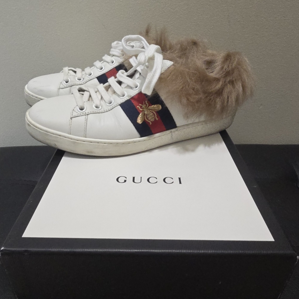 Gucci ace bee sneaker with box